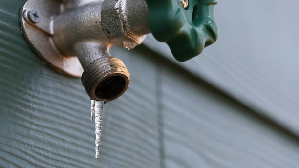 Best Local Plumber Services  in Fort Stockton, TX
